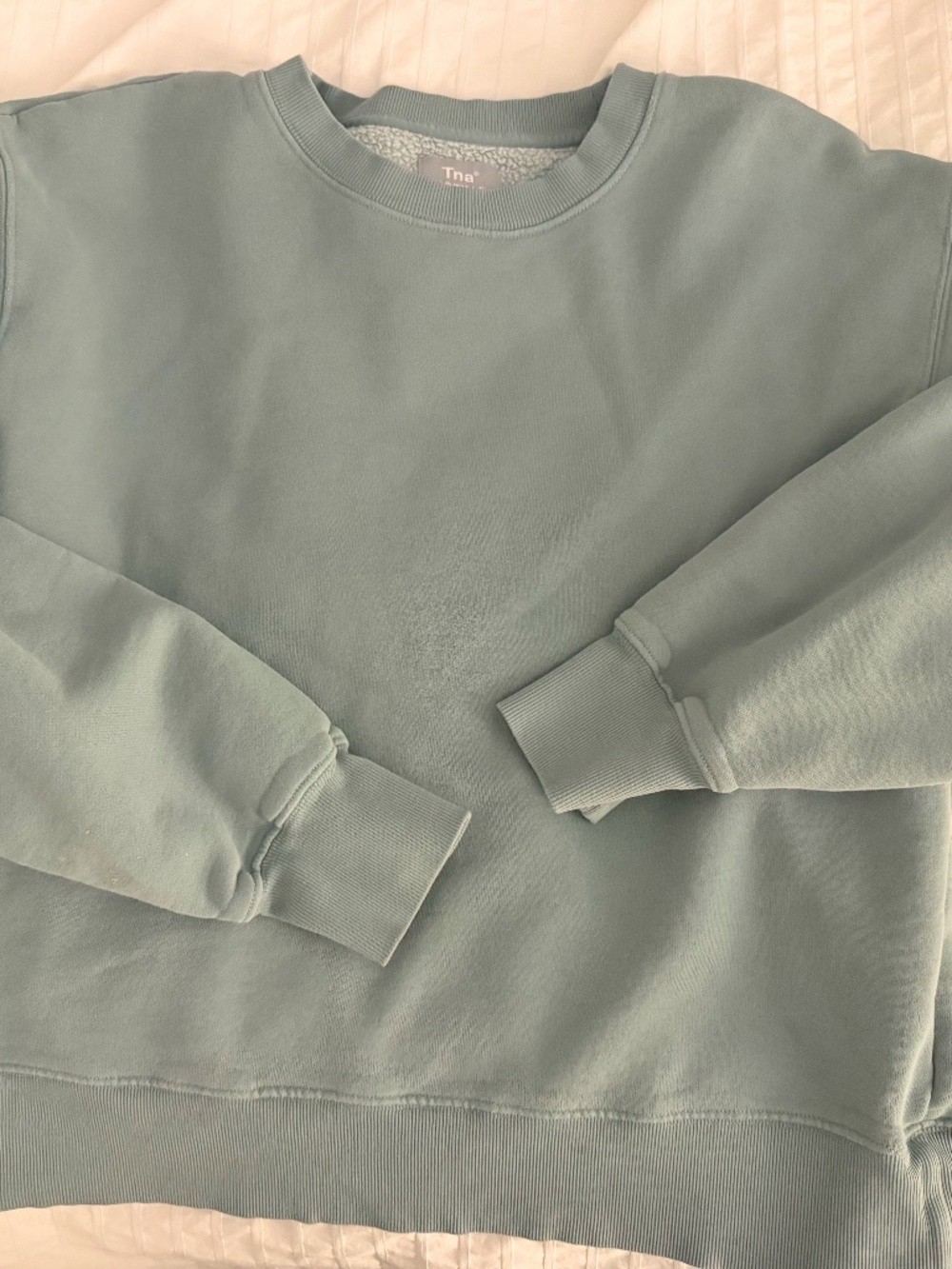 Aritzia TNA Cozy Fleece sweatshirt